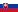 Slovak Slovak