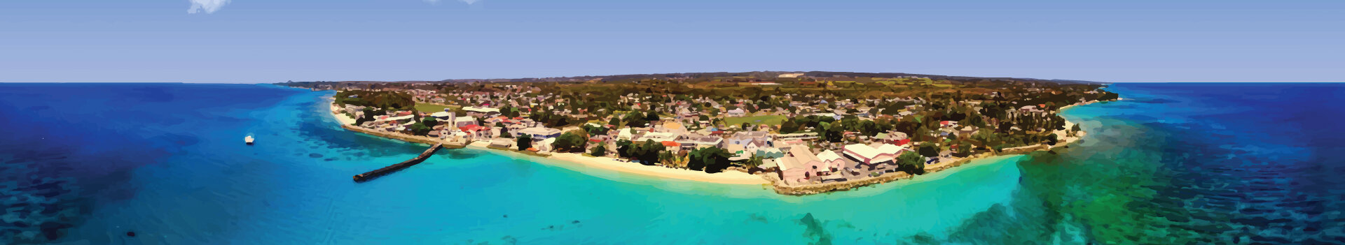 Kite in Barbados