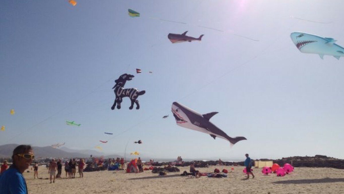 Fuertaventura kite festival canary islands