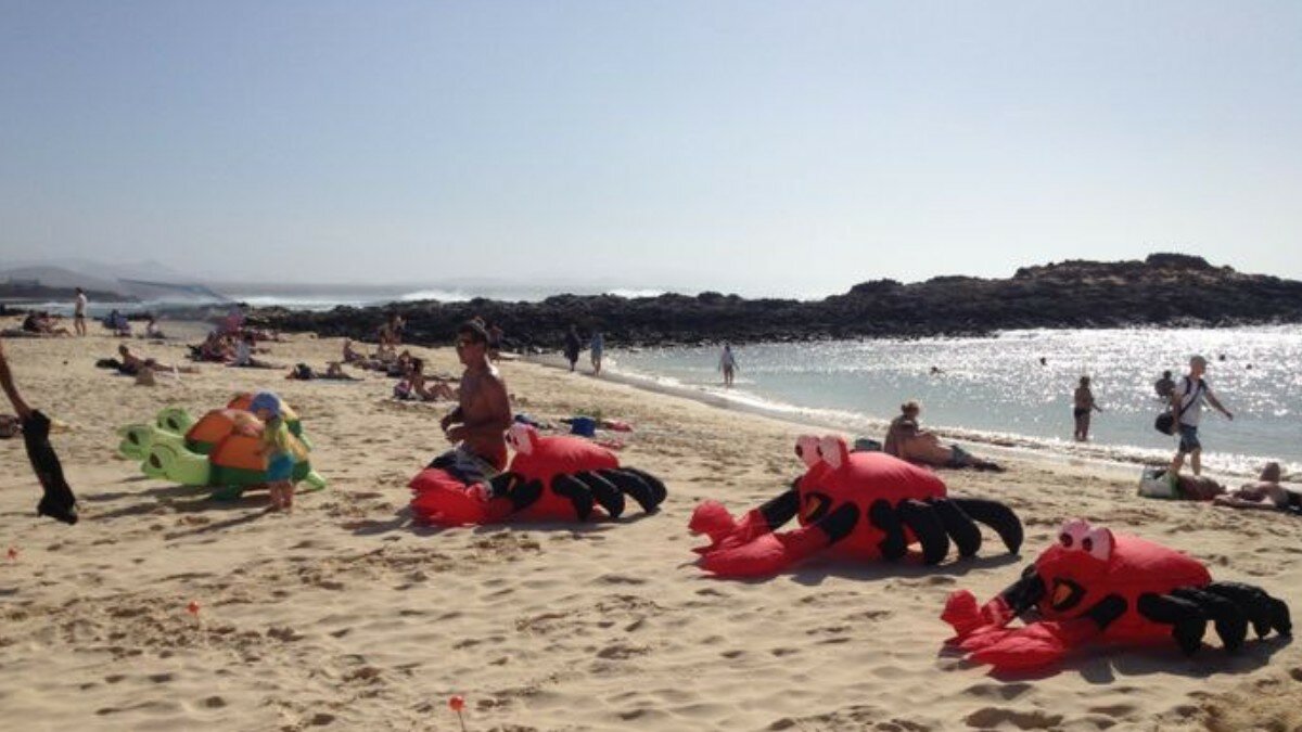 fuertaventura kite festival spain