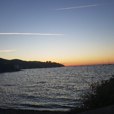 tomroma90178351's picture tomroma90178351's picture