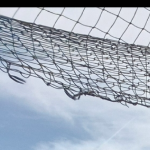 lars.nelles@gmail.com's picture