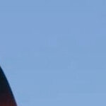 mohamedzarzour's picture mohamedzarzour's picture