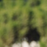 Hamzaaddikite187885's picture Hamzaaddikite187885's picture