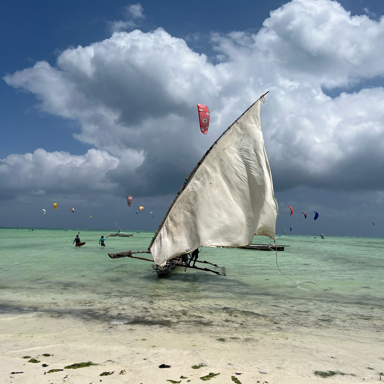 alevisi91@gmail.com's picture