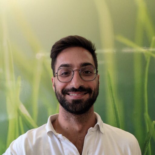 simonepoli93@gmail.com's picture