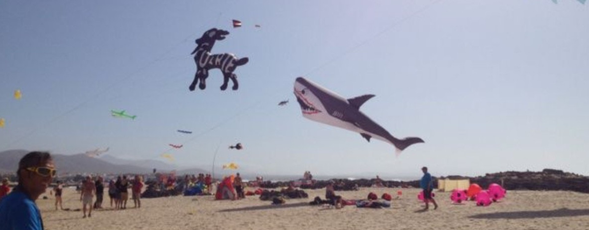 international kite festivals fuertaventura