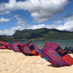 danielepping77146201's picture danielepping77146201's picture