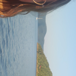 corinnesimard10@gmail.com's picture