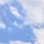 ameliedumesnil.1@gmail.com's picture