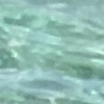 m_bessonov@yahoo.de's picture m_bessonov@yahoo.de's picture