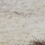 BillyKitePassion.ca's picture