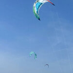 fabienne.pfirter@windowslive.com's picture