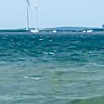 gianluca.campanale84@gmail.com's picture