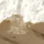 scherertim1993@yahoo.de's picture