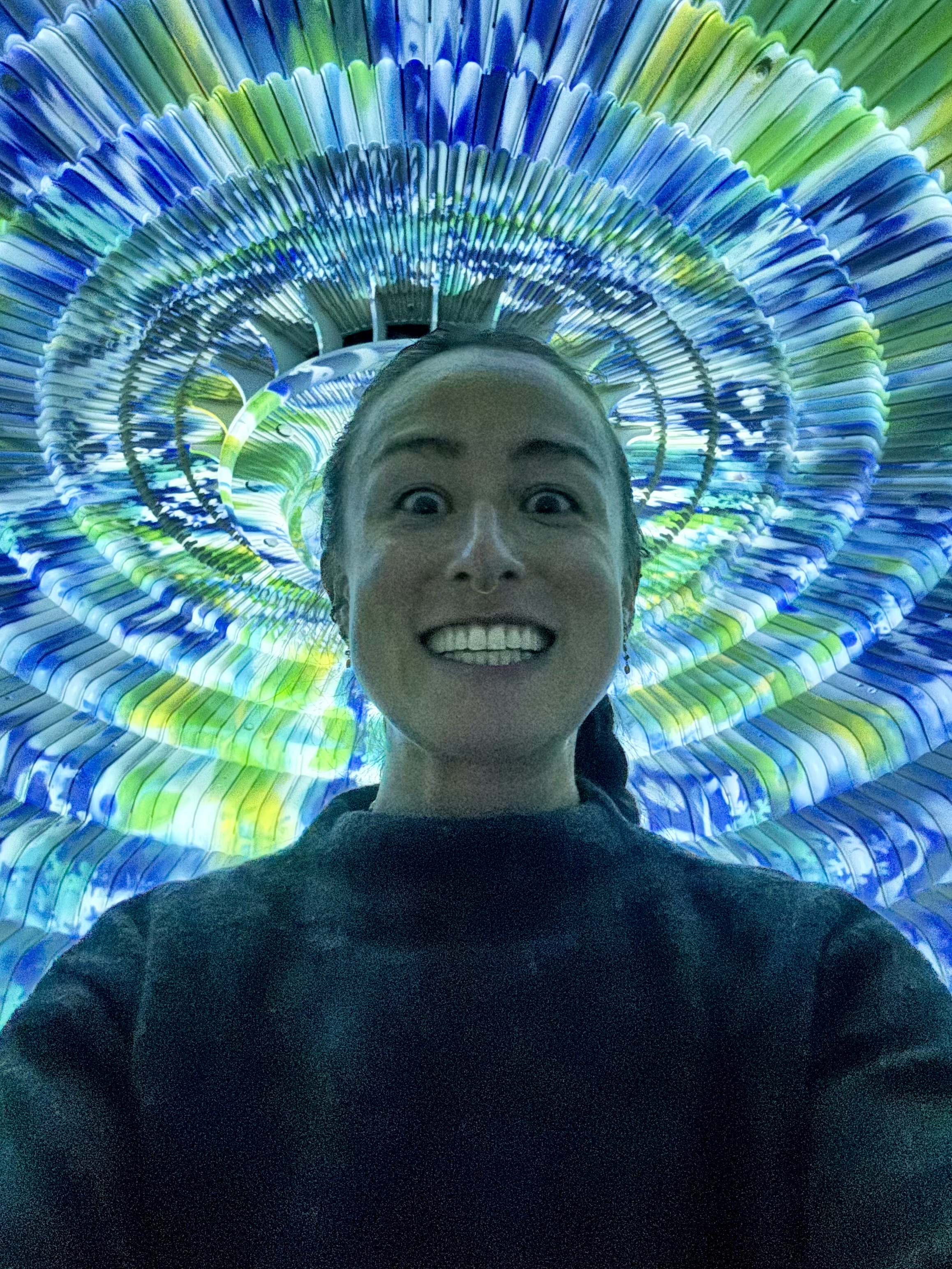 celia.dehee@gmail.com's picture