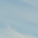 Fdibiagi@me.com's picture