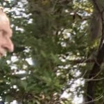 Dennisquinlisk99@aol.com's picture