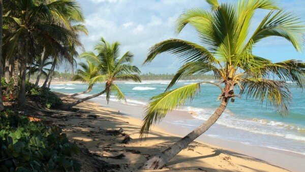 kitesurfing in punta cana in the dominican republic 