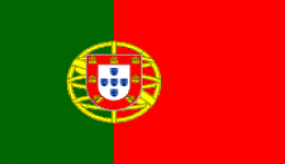 Kite in Portugal Kite in Portugal