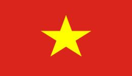 Kite in Vietnam