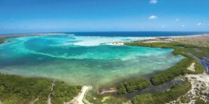 Kitesurfing in Lac Bay - Bonaire