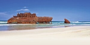 Kite in Kite Beach (Shark bay) - Cape Verde