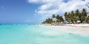 Kite in Worthing Beach Barbados