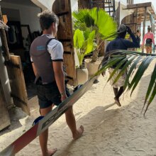 gustaf.hallertdjurberg@gmail.com