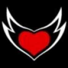 djvlieg@hotmail.com