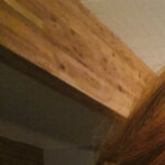 melanie.shepherdson@gmail.com
