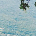 fabrizio1984@hotmail.it