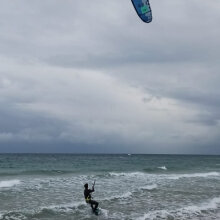 andreanardelli64@gmail.com