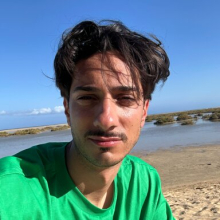 guerinoniriccardo@gmail.com