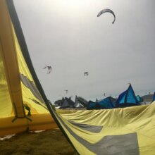 muchisimaalegria271644