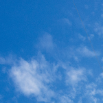 mariapaolamarinelli452710