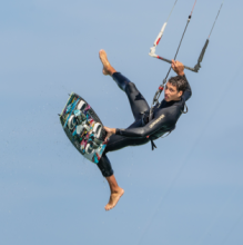 Flyingfish