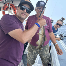 Daniellecompte21451536