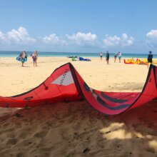 alexdelacruz96289988