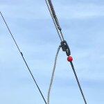 Marieprevotkite359907
