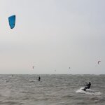 milou_nl
