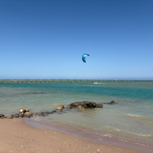 marjoleingerdes454324