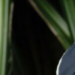 Jeremyemilien420301316