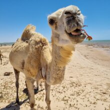 4zdv5mb75y@privaterelay.appleid.com