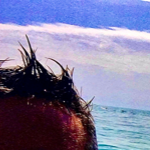 Lucioscrudato@virgilio.it