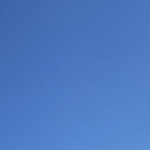 jotapintos@gmail.com