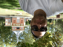 frankytreviso@gmail.com
