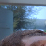 edov@me.com