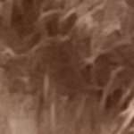 Gbaglieri18@gmail.com