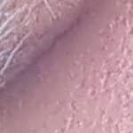 Davidpeavey@yahoo.com